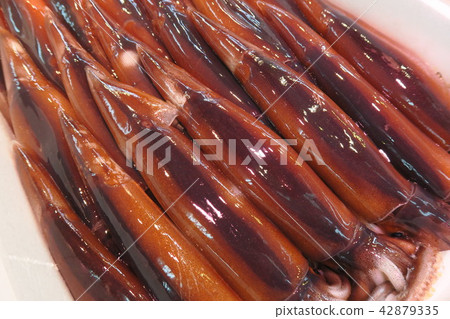 魷魚 42879335