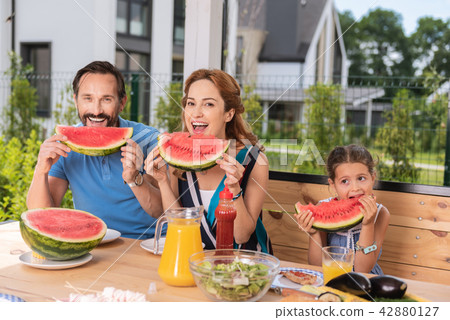 Delighted nice family enjoying watermelons 42880127