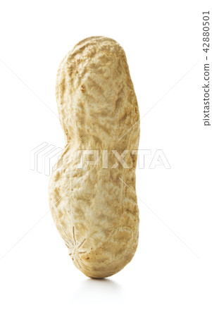 peanuts on white 42880501