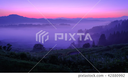 梯田(早晨) 梯田(早晨) 42880992