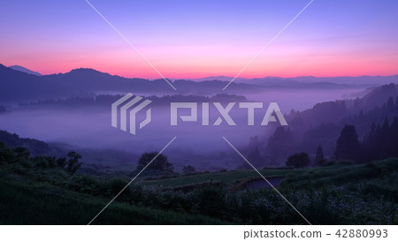 梯田（早晨） 42880993