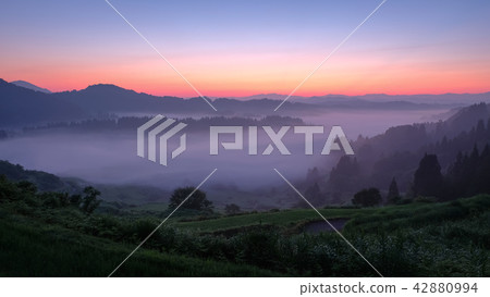 梯田（早晨） 42880994