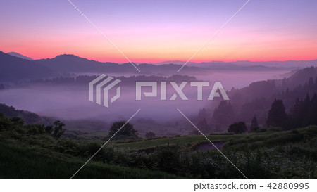 Terraced rice terrace (morning view) Terraced rice terrace (morning view) 42880995