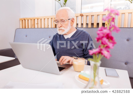 Focused senior freelancer working on laptop Focused senior freelancer working on laptop 42882588