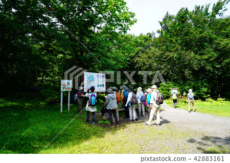 Shishonosei Marshland Tohoku Akita Prefecture Shishonosei Marshland Tohoku Akita Prefecture 42883161