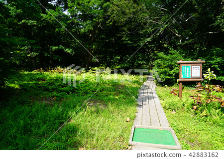 Shishonosei Marshland Tohoku Akita Prefecture Shishonosei Marshland Tohoku Akita Prefecture 42883162