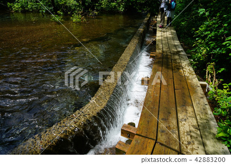 Shishonosei Marshland Tohoku Akita Prefecture 42883200