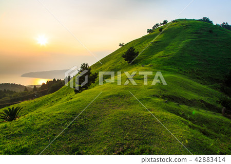 Dusk of the cape Toei Ogi [Kushima-shi, Miyazaki Prefecture] 42883414