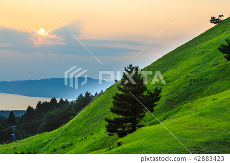 Dusk of the cape Toei Ogi [Kushima-shi, Miyazaki Prefecture] 42883423