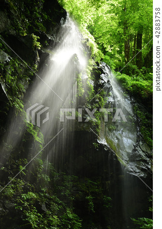 Waterfall and light shine 4 42883758