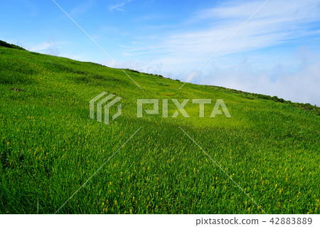 Tsukiyama Midurbahara Tohoku Yamagata Prefecture 42883889