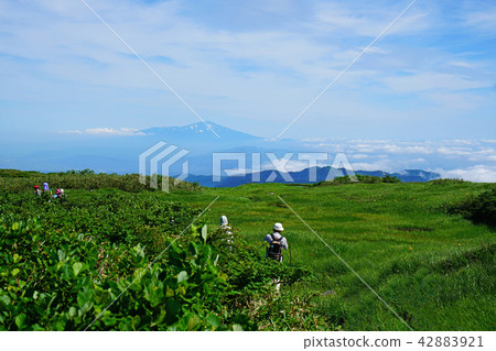 Tsukiyama Midurbahara Tohoku Yamagata Prefecture 42883921
