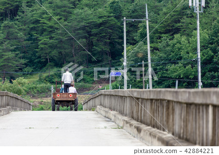 分蘖 爺爺 奶奶 42884221