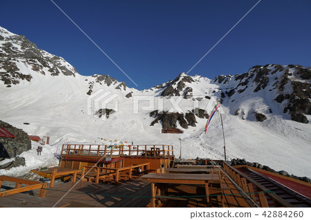 湯澤雪 湯澤雪 42884260