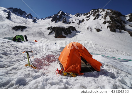 Lively tent 42884263