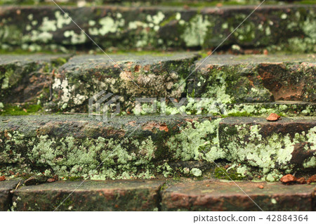 macro view of very old brown brick wall,very old macro view of very old brown brick wall,very old 42884364