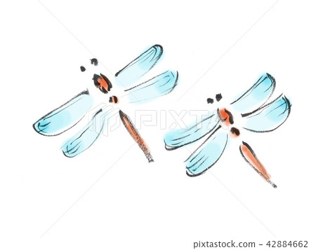 蜻蜓 蜻蜓 42884662