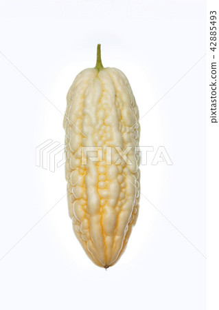 白色goya黃色goya苦瓜 42885493