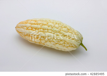 White goya yellow goya bitter gourd 42885495