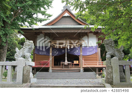 Maidake神社 42885498