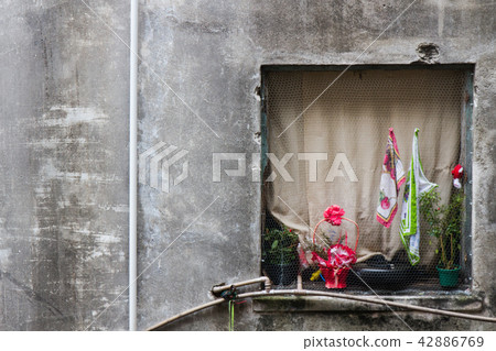 Square home window with flower in shabby building. 42886769
