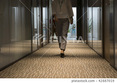 公司走廊 公司走廊 42887019