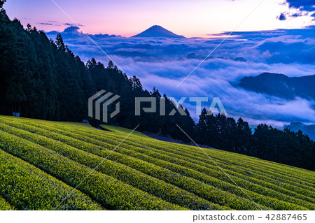 “靜岡縣”富士山和大開凱 42887465