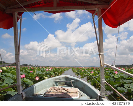 Miyagi prefecture Tomei City Naganuma Hatsu Festival 42887579