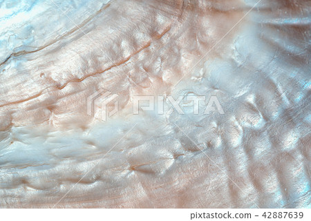 luxury nacre seashell background texture close up luxury nacre seashell background texture close up 42887639