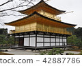 Kinkakuji 42887786