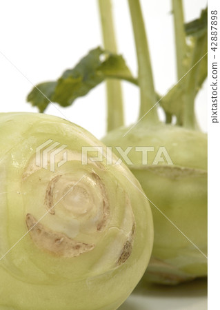 Kohlrabi against white background Kohlrabi against white background 42887898