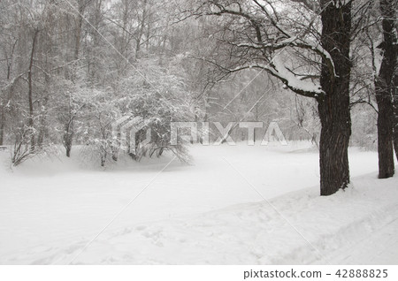 Winter landscape with a pond 42888825