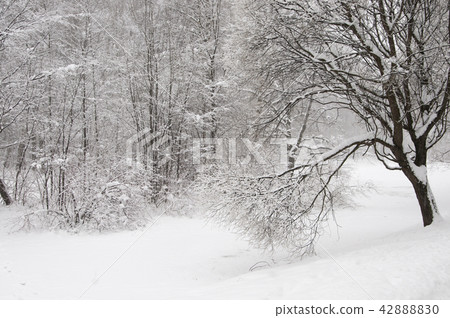 Winter landscape with a pond 42888830
