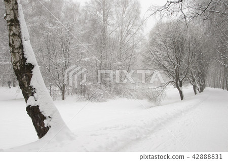 Winter landscape with a pond 42888831