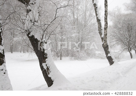 Winter landscape with a pond Winter landscape with a pond 42888832