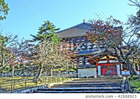 西Todaiji寺 42888923