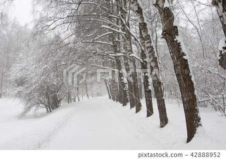Winter landscape with a pond 42888952