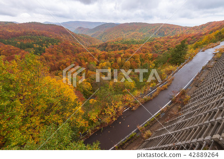 Jogakura mountain range in beautiful autumn season Jogakura mountain range in beautiful autumn season 42889264