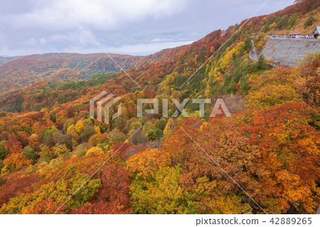Jogakura mountain range in beautiful autumn season 42889265