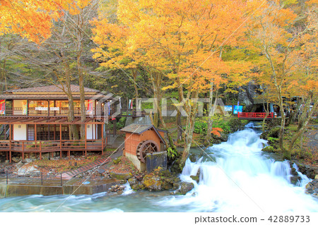 Three major cave limestone caves in Japan Three major cave limestone caves in Japan 42889733