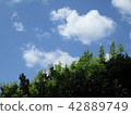 雲 42889749