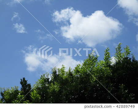 雲 雲 42889749