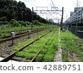 鐵路 42889751