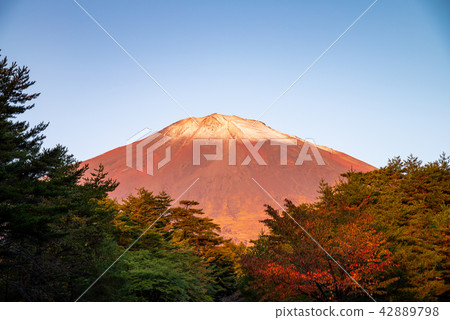 (Shizuoka Prefecture) Mt. Fuji descending from Sukuguchi climbing road First Crown of Snow 42889798