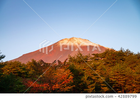 (Shizuoka Prefecture) Mt. Fuji descending from Sukuguchi climbing road First Crown of Snow 42889799
