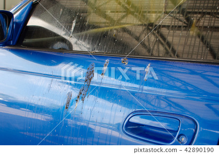 Bird droppings on cars 42890190