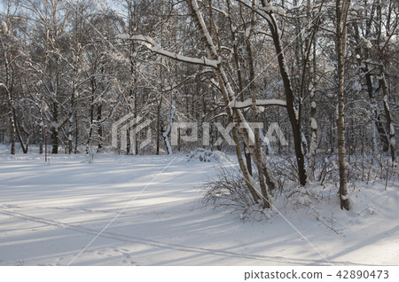 Winter landscape with a pond 42890473