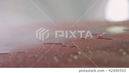 Closeup red car wash spraying degreaser on paint 42890503
