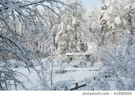 Ice-hole for winter swimming Ice-hole for winter swimming 42890800