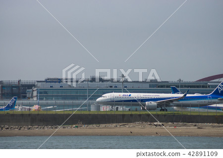 Haneda airport  42891109